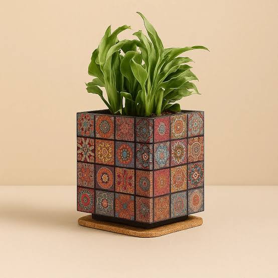 Box Print Table Top T.T. Planter