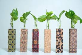 Box Print Table Top Test Tube Planter Combo-46