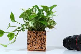 ChocoChip Square Planter