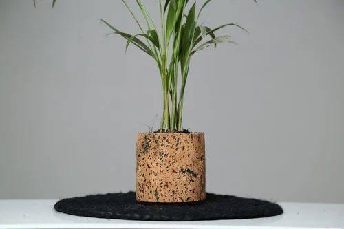 Cork Belly Planter