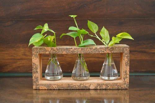 Cork Conical Flask Planter