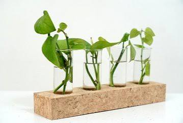 Cork Conical Flask Planter - Image 2