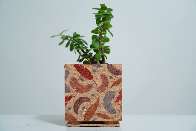 Feather Printed Tabletop T.T. Planter