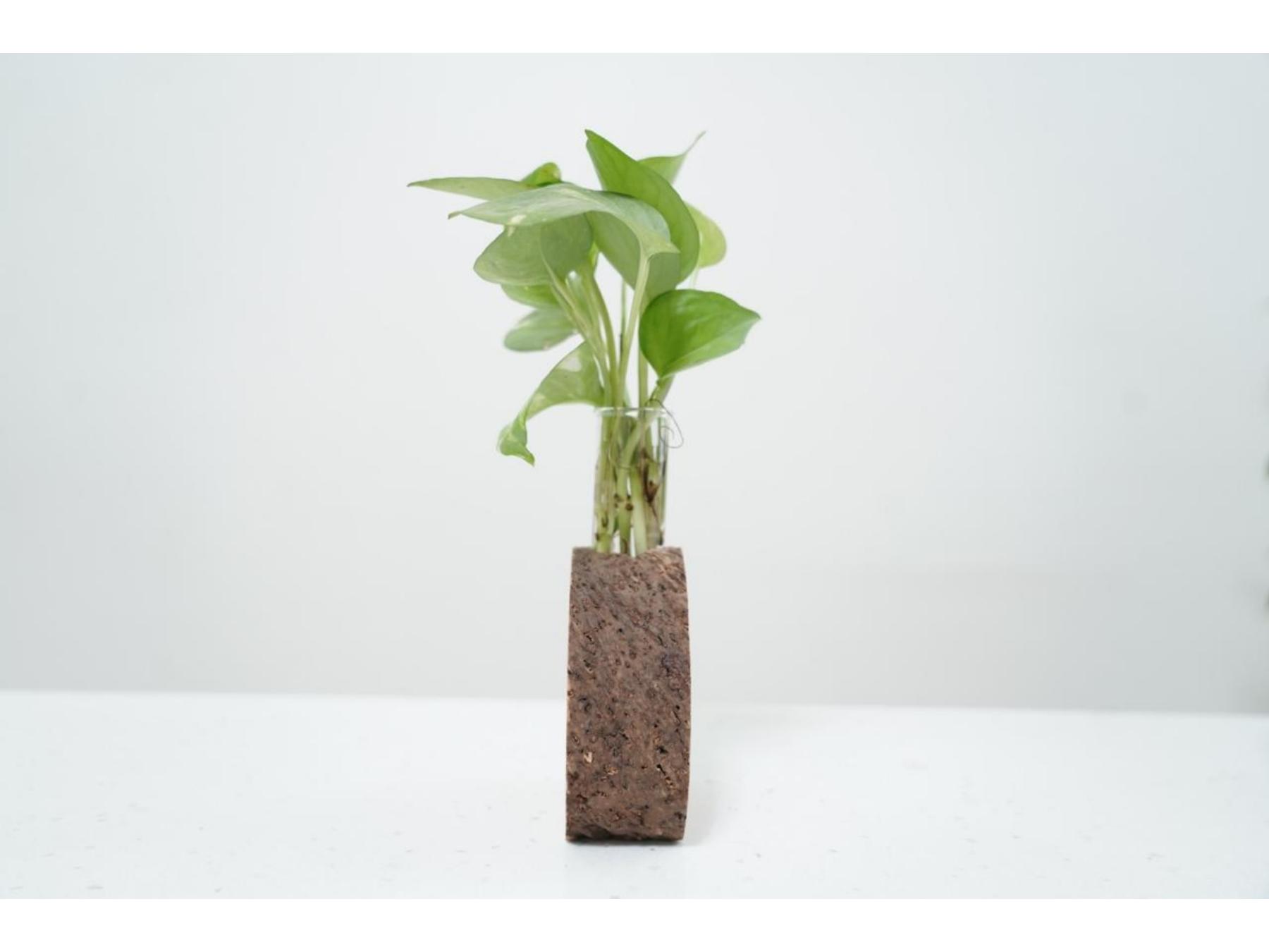 Natural Bark Planter