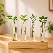 Rectangular Test Tube Planter