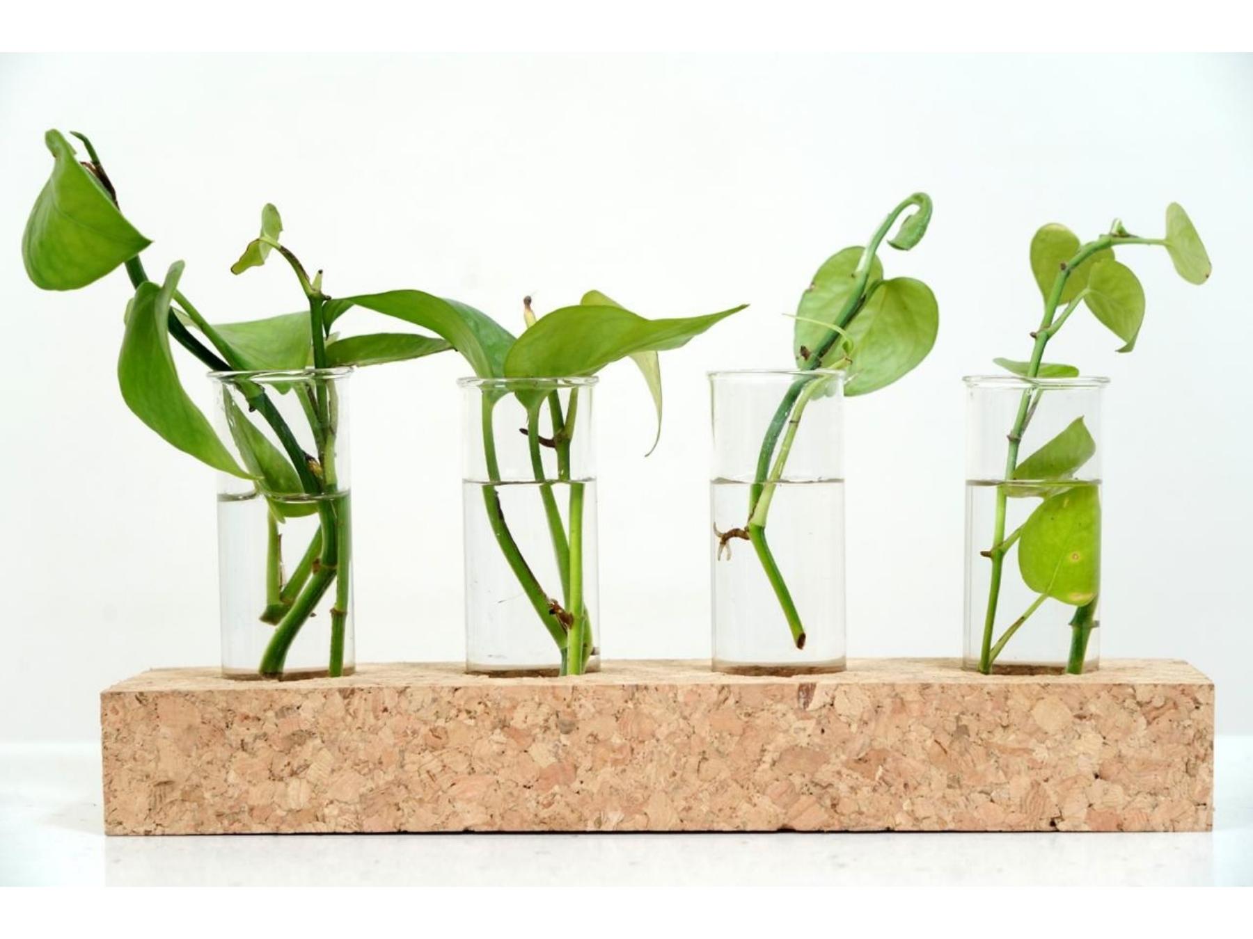 Rectangular Test Tube Planter - Image 2