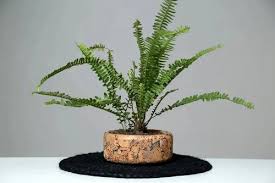 Round Fine Grain Planter