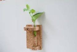 Wall Frame Test Tube Planter