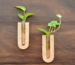 Wall Frame Test Tube Planter - Image 2