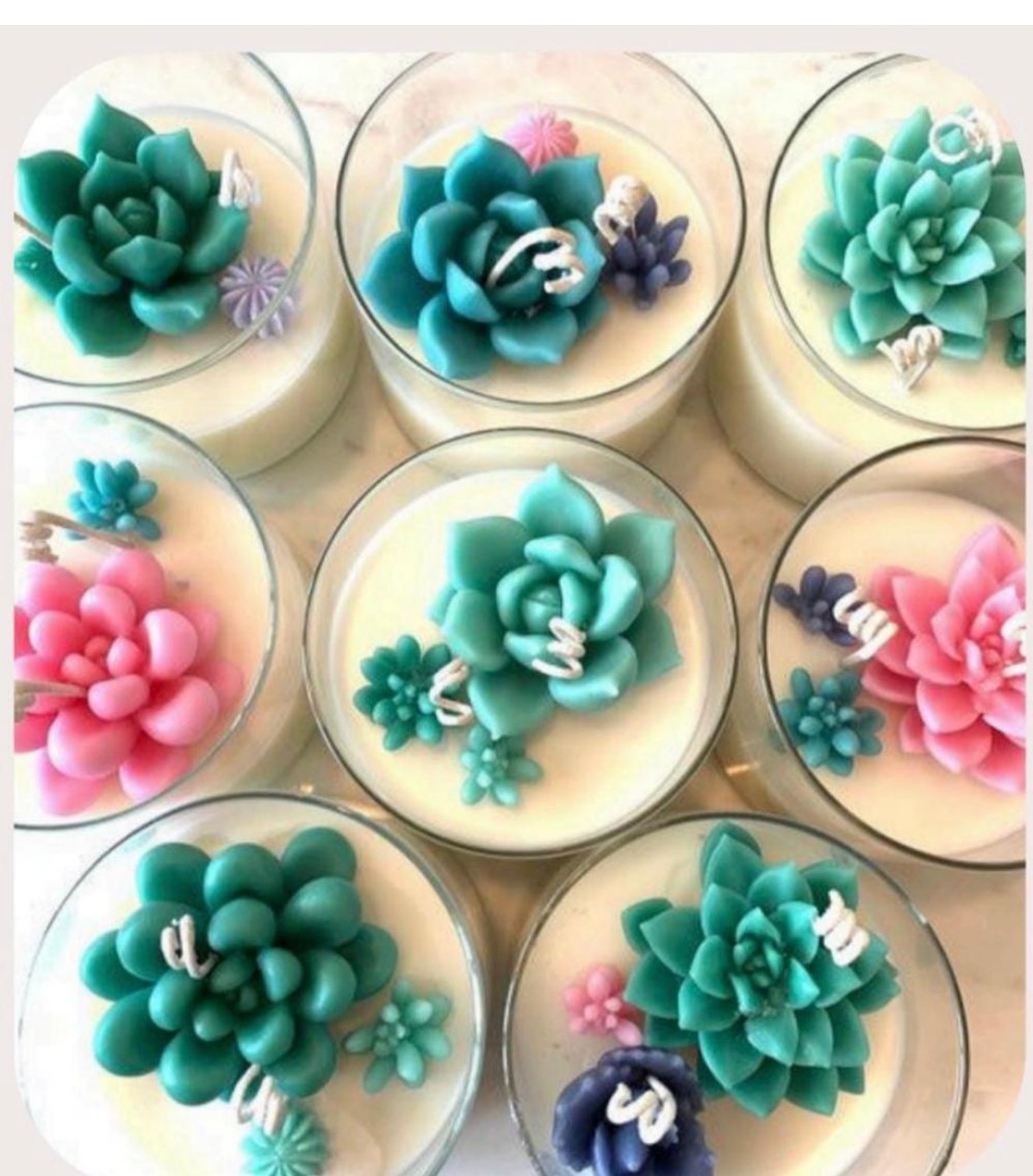 Succulent Jar Candle (Small)