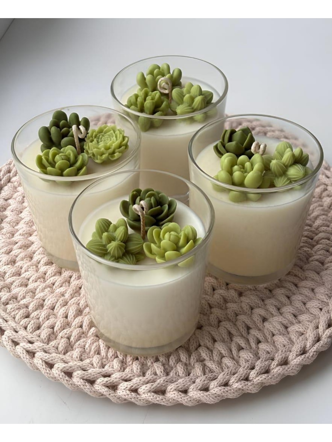 Succulent Jar Candle